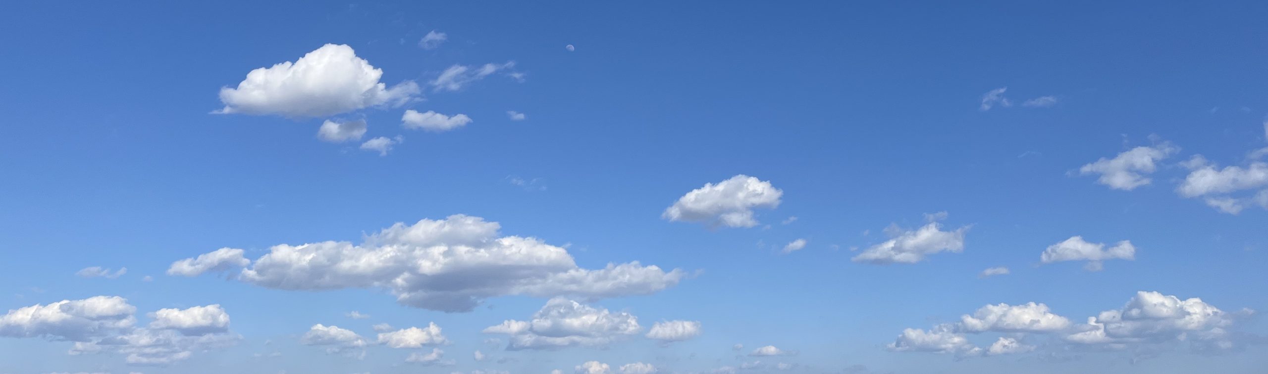 さくらの恋猫【膣トレ】骨盤底筋鍛えられる？締まり良くなる？ゆるみ度｜あさイチ｜インナーボール